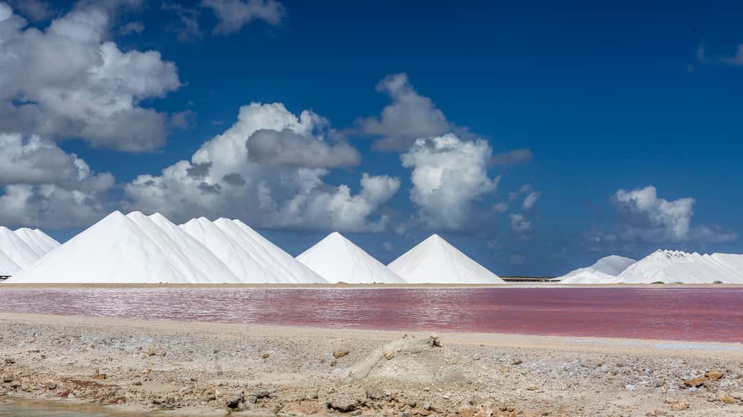 Salt Pier Bonaire - Golf Cart Tour- Bonaire Cruisers