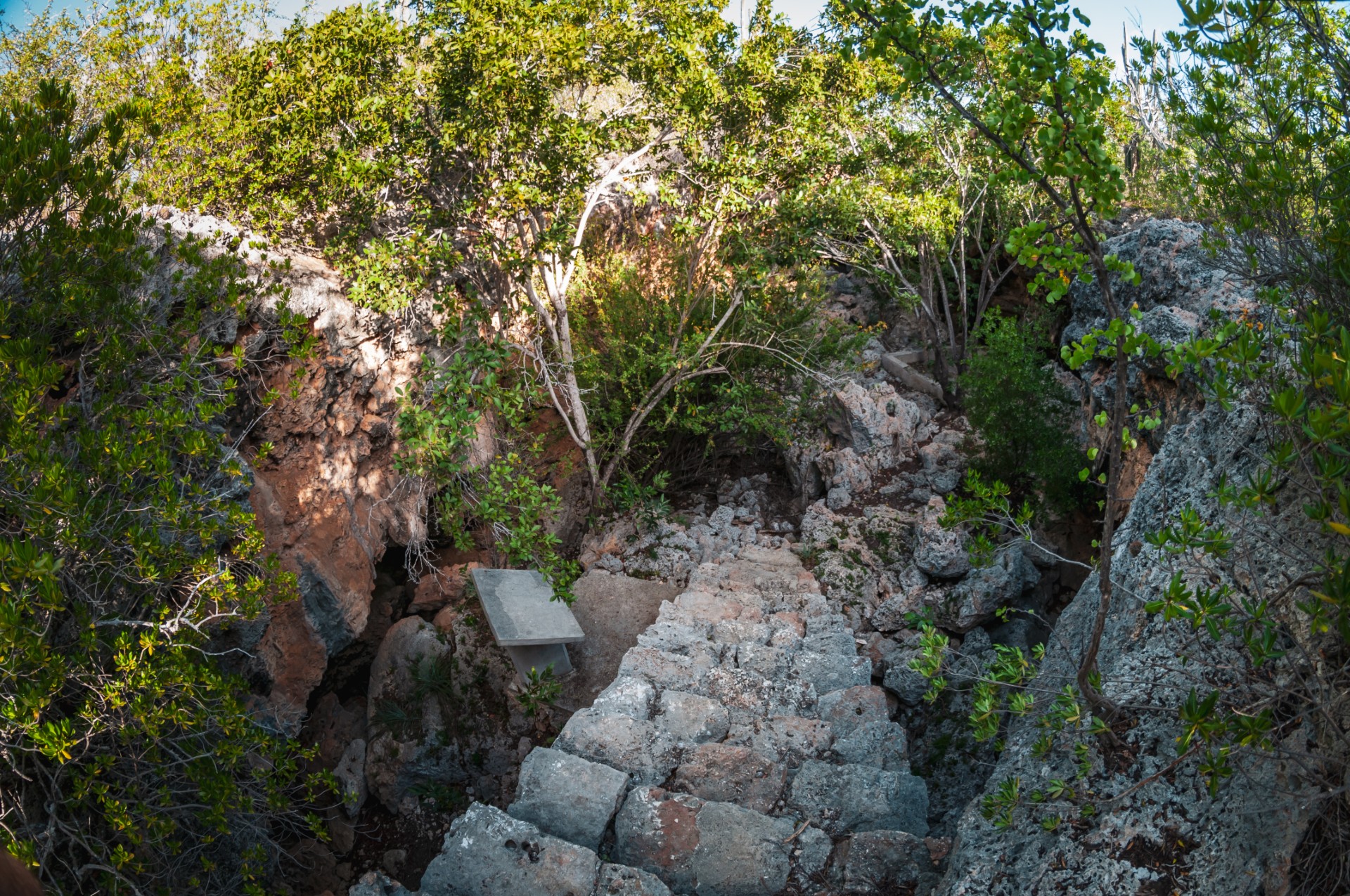 1000 Steps Bonaire - Discover Bonaire by GolfCart Rental