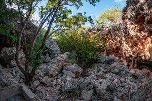 1000 steps on Bonaire - Discover by Golfcart